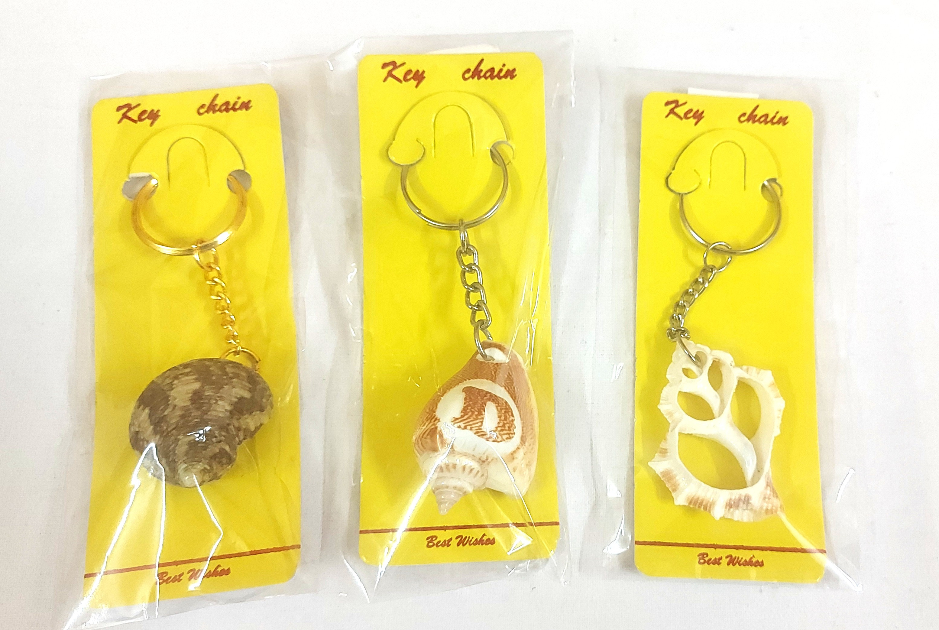 Imported Seashells Keychain Combo (D)
