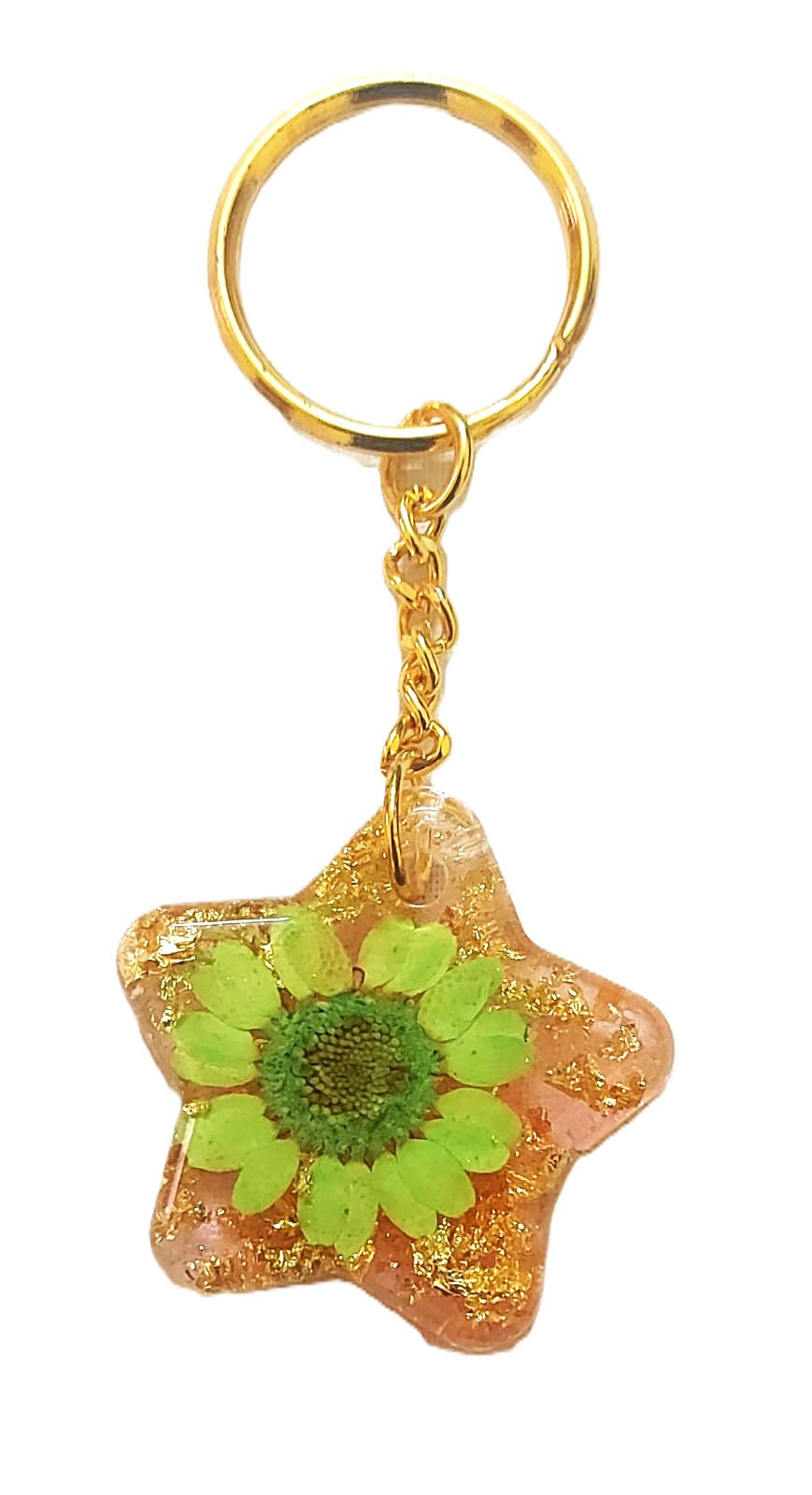 Resin Star Glassy Keychain