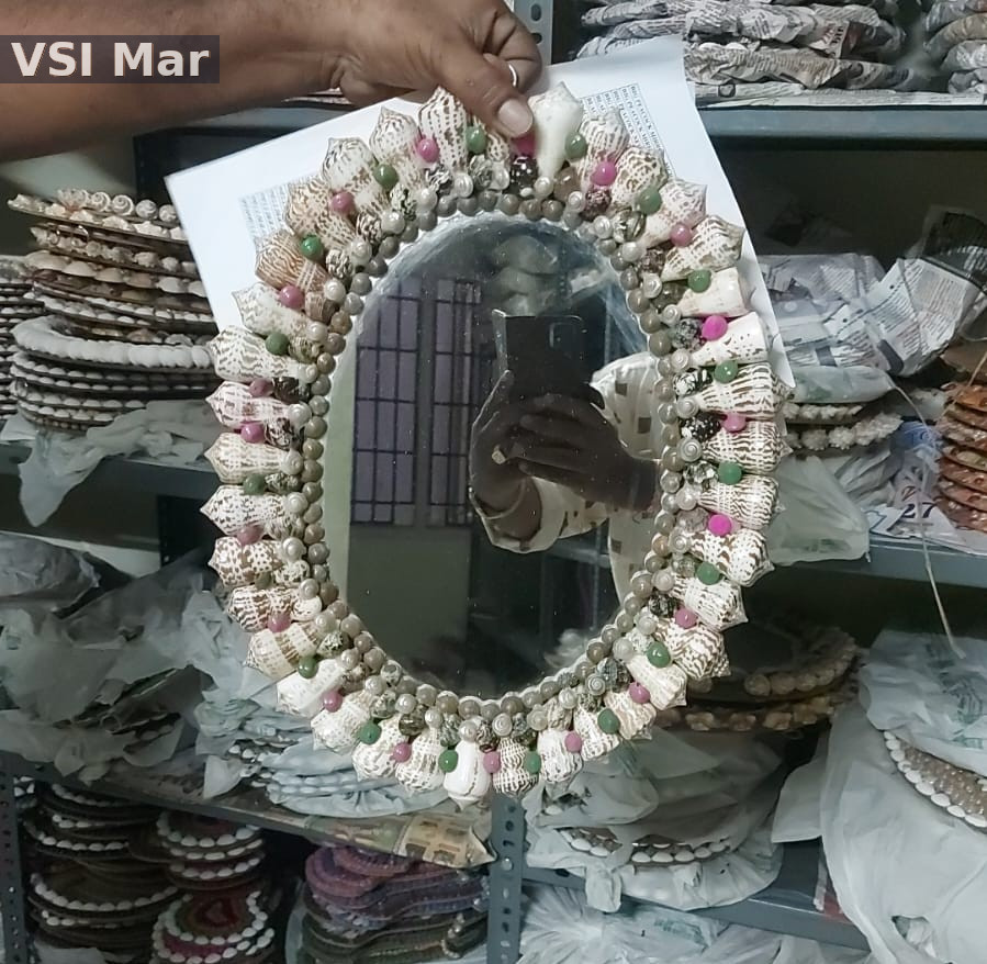 100% Natural Brown & White Shank Ovel Mirror Big Size