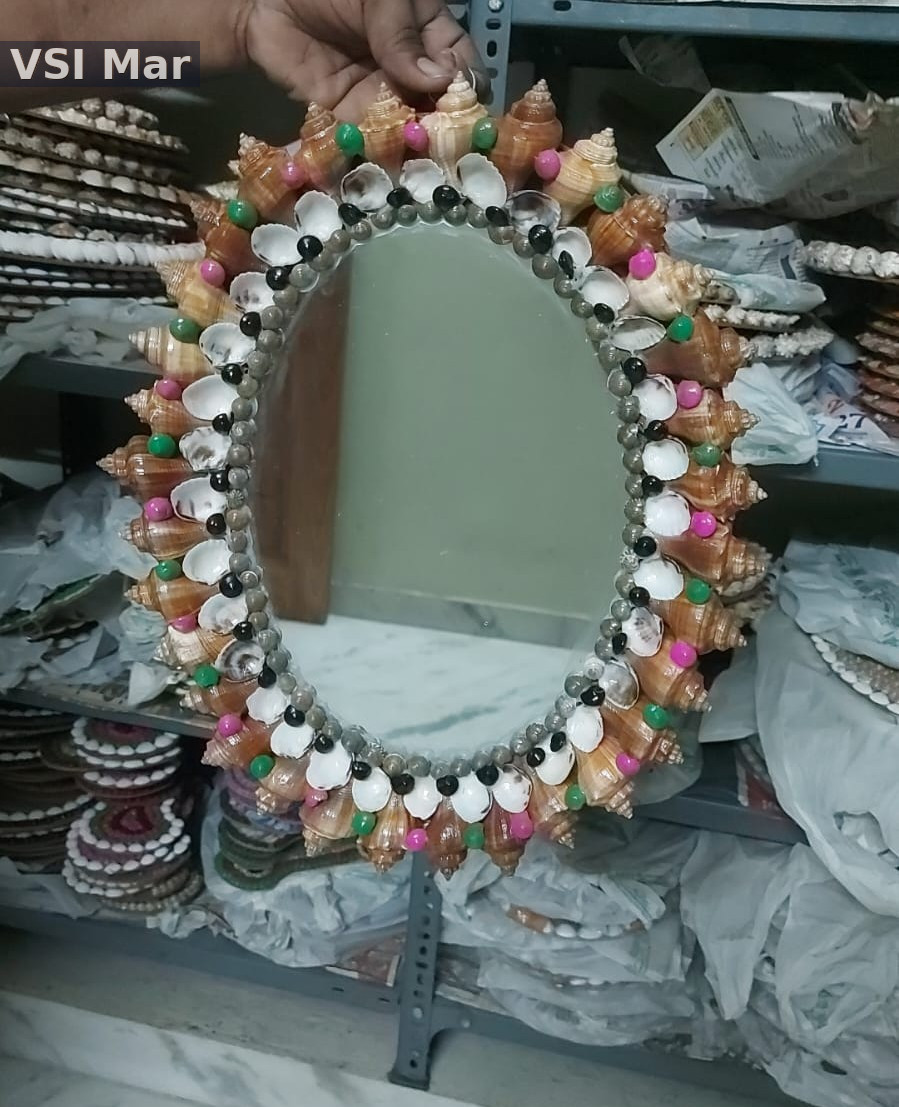 100% Natural Wooden Brown Shank and Seashells Ovel Mirror Big Size