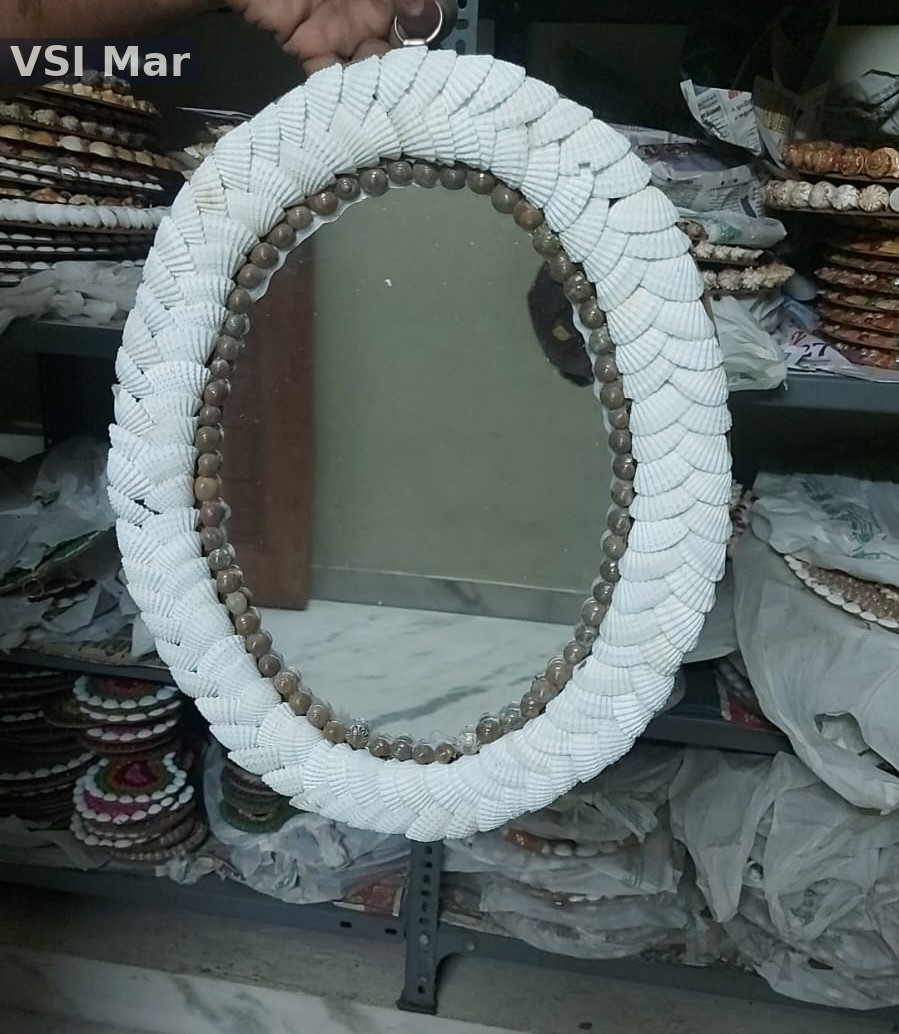 100% Natural White Seashells Ovel Mirror Big Size