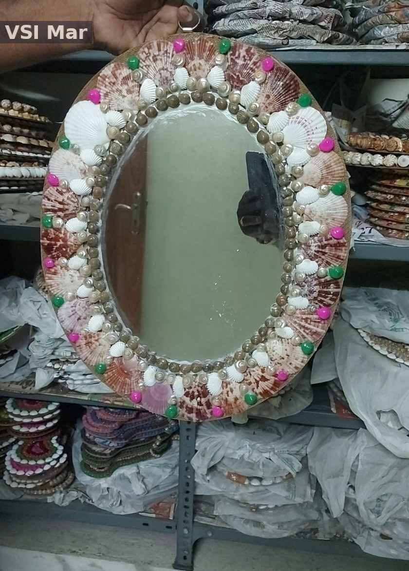 100% Natural Multi Color Seashells Ovel Mirror Big Size