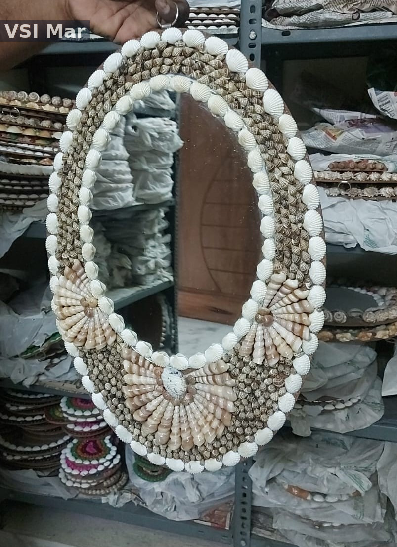 100% Natural Mini Shank Oval Mirror Big Size