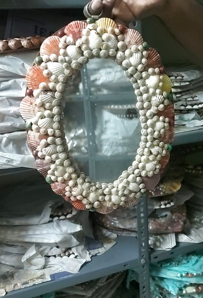 100% Natural Rare Variety Seashell Ovel Mirror - Standard  Size