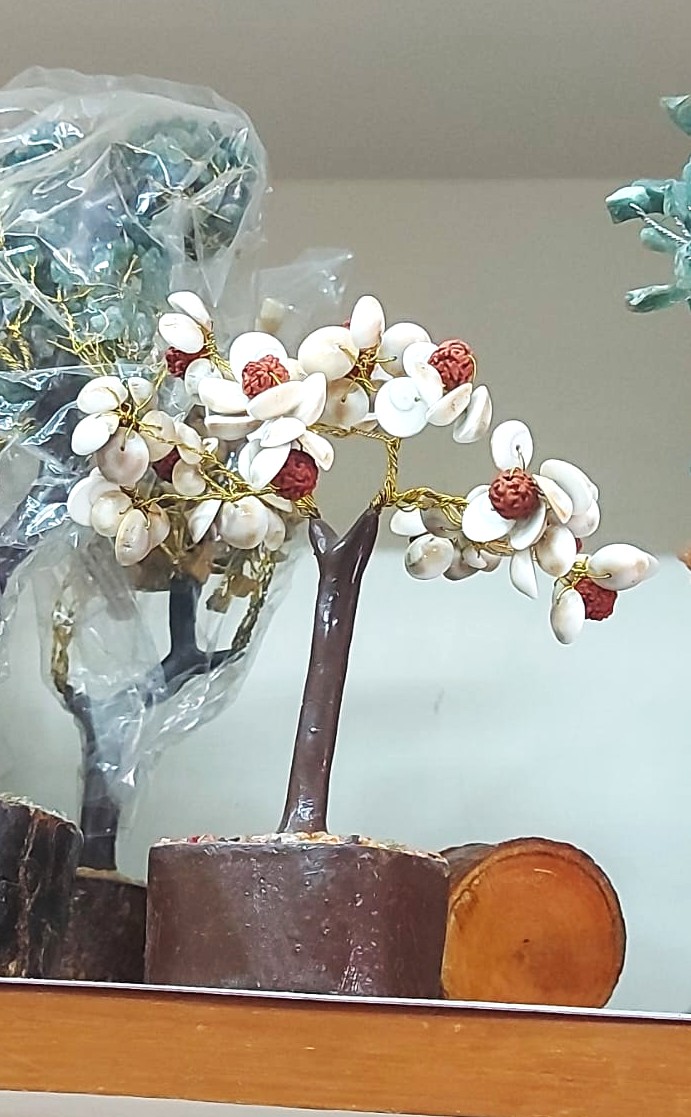 100% Real Seashell and Real Rudraksha Wish Tree– Standard Size