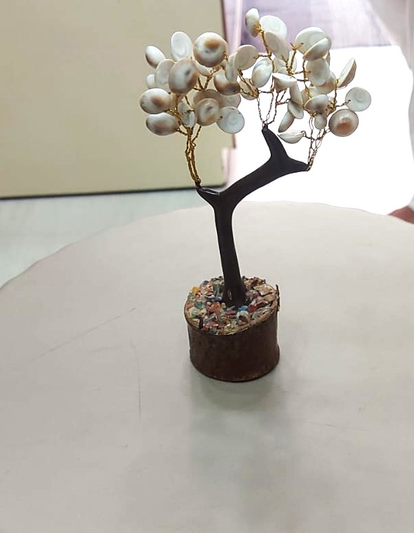 Real Gomati Chakra Tree Wish Tree– Small Size