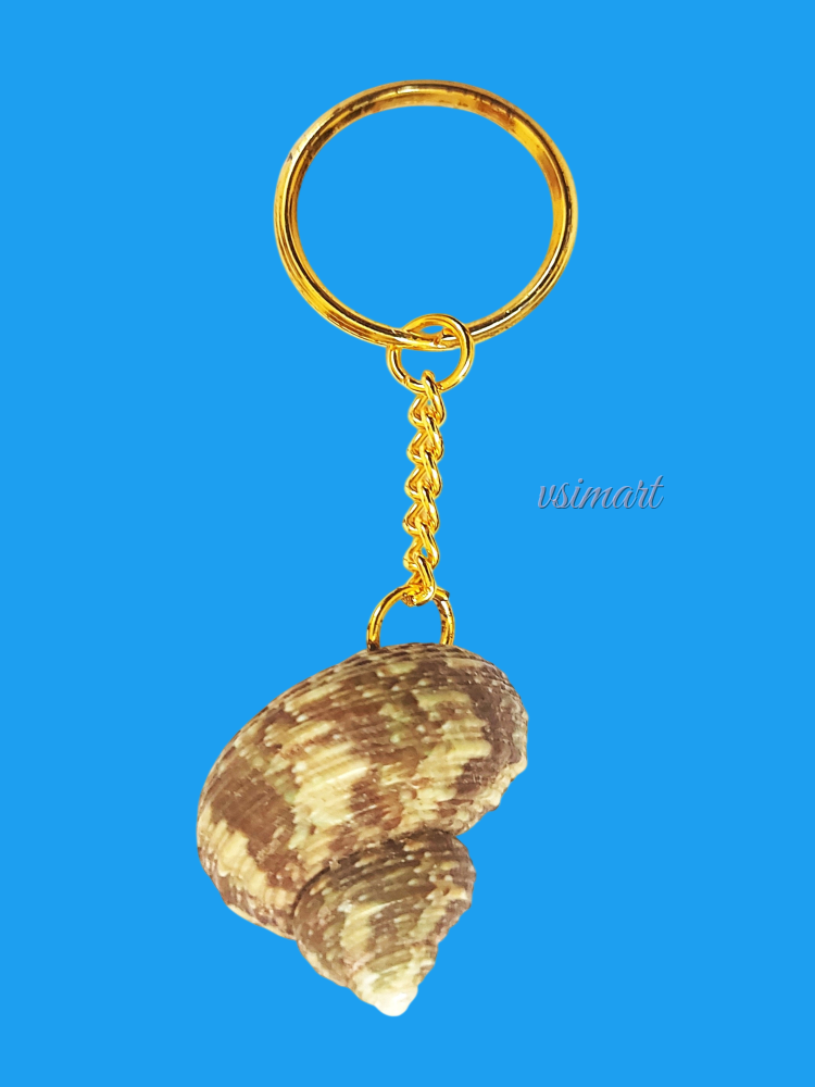 Rare Variety Natural Shank with Golden Keychain