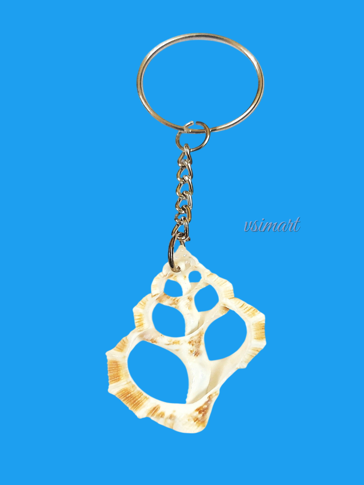 Silver Chain