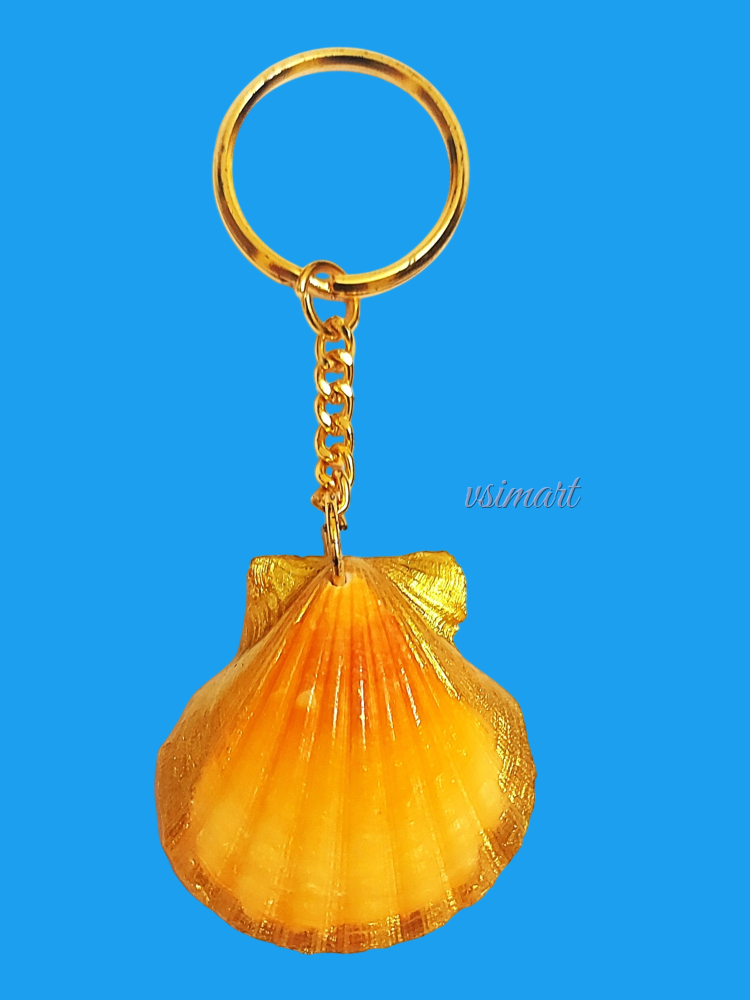 Golden Art Rare Variety Natural Seashells Keychain