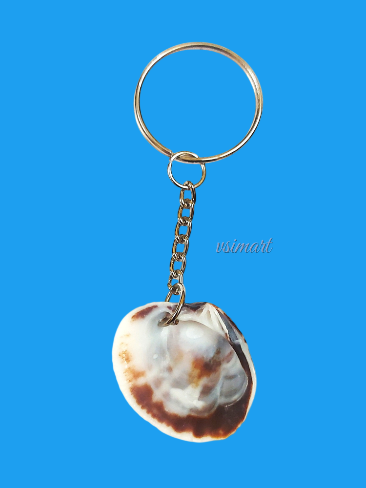 Rare Variety Natural Seashells Keychain
