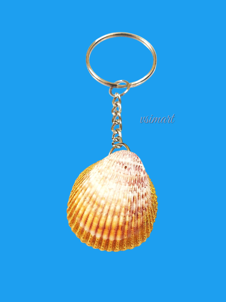 Gold Plated Natural Seashell Keychain