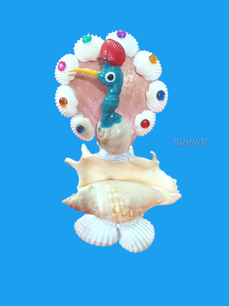 Pure Seashell & Big Size Chank Peacock Premium Quality Gift