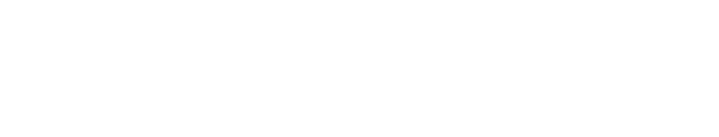 VSI Logo